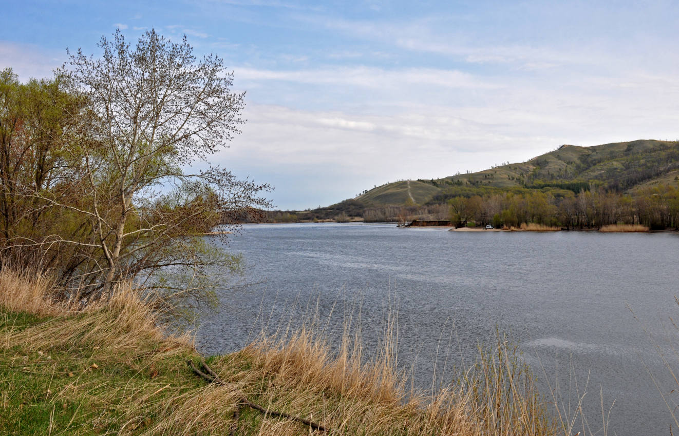 Залив Жигулёвская Труба, image of landscape/habitat.