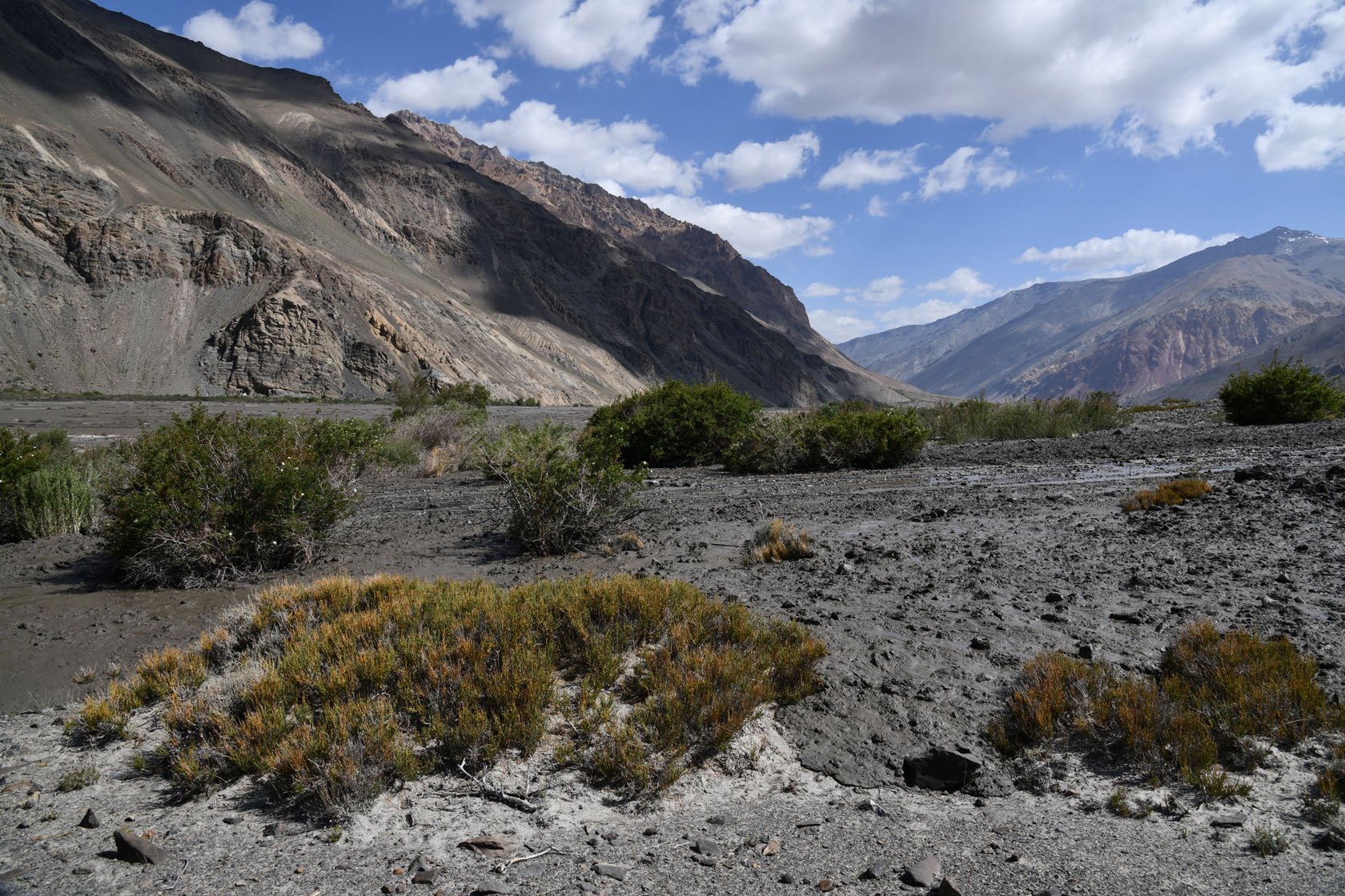 Танымас, image of landscape/habitat.