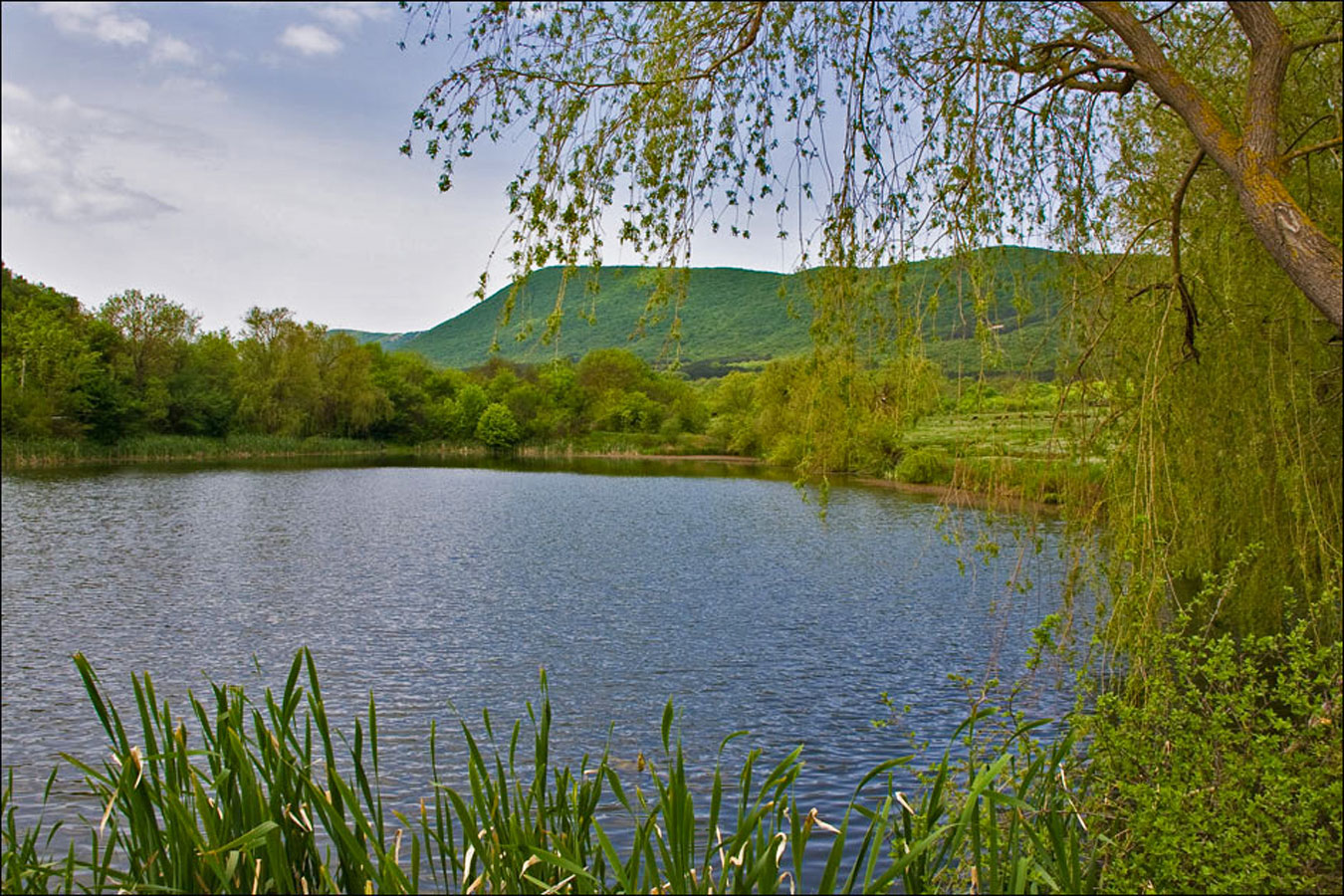 Байдарская долина, image of landscape/habitat.