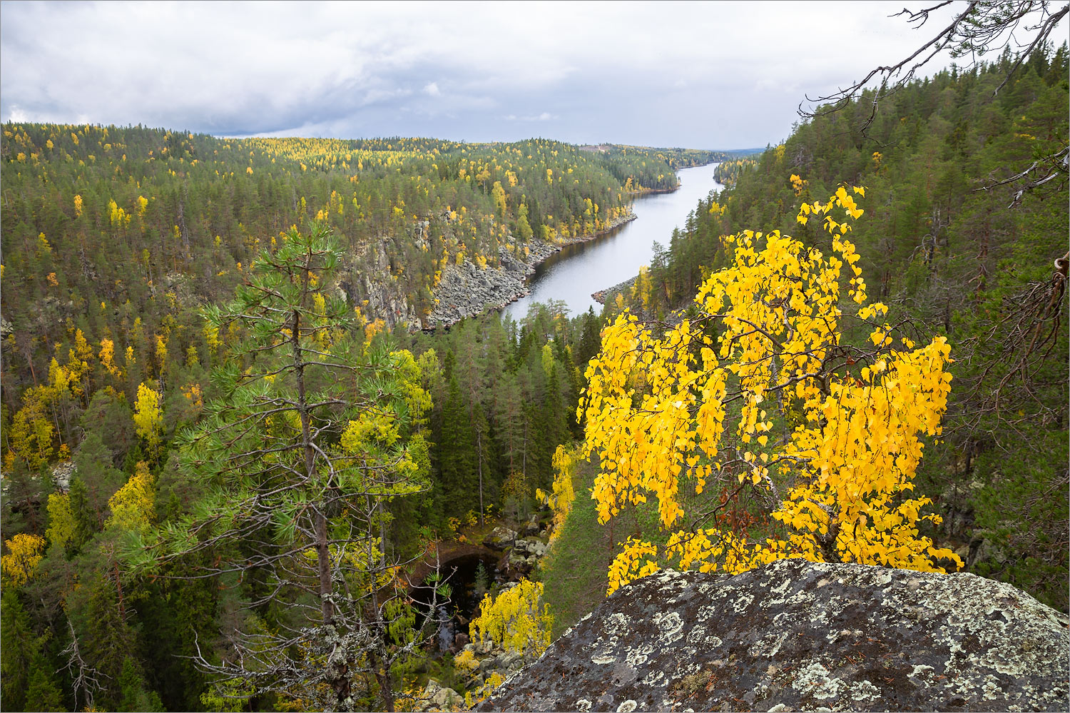 Пизанец, image of landscape/habitat.