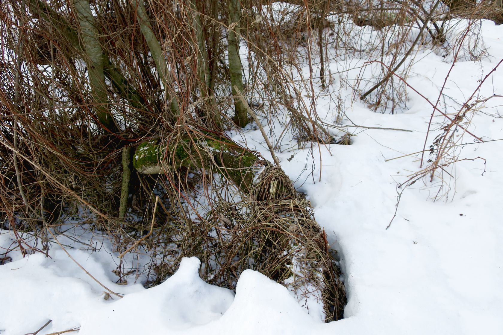 Малоярославец и окрестности, image of landscape/habitat.