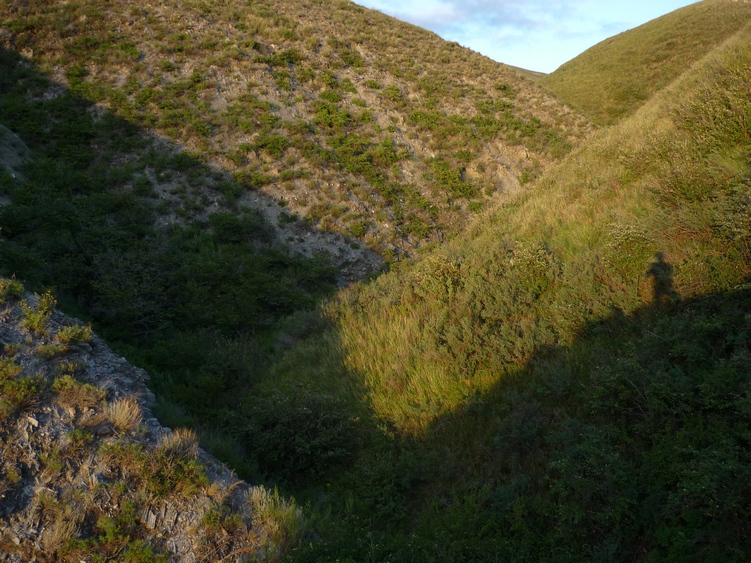 Озеро Ножий, image of landscape/habitat.