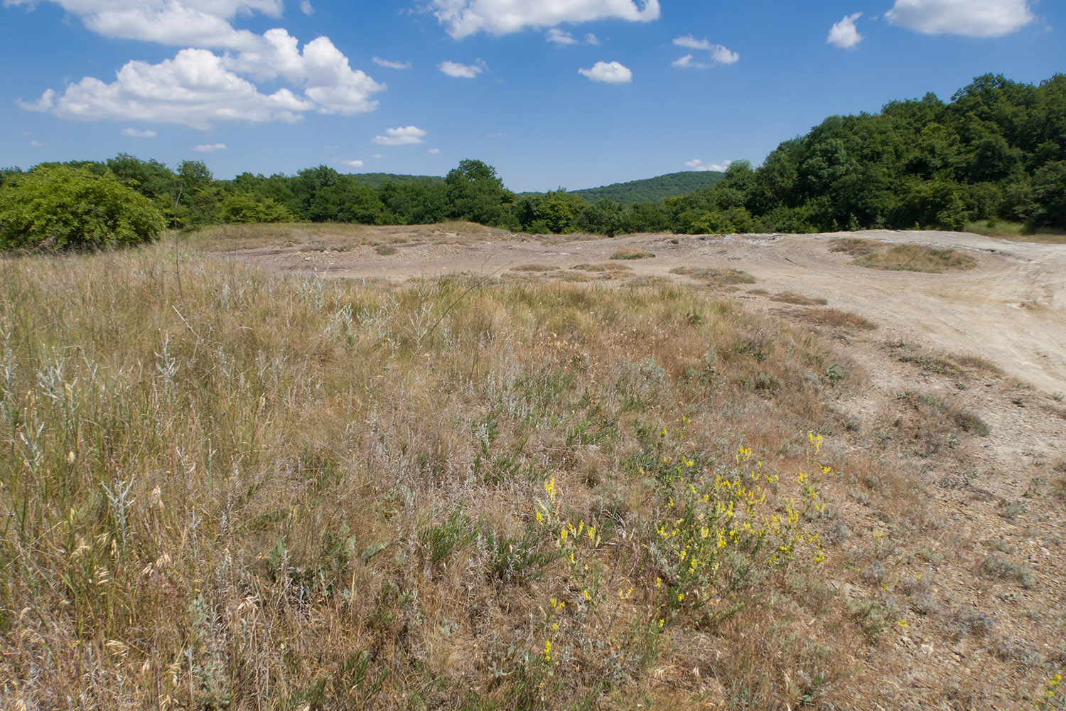 Гладковские сопки, image of landscape/habitat.