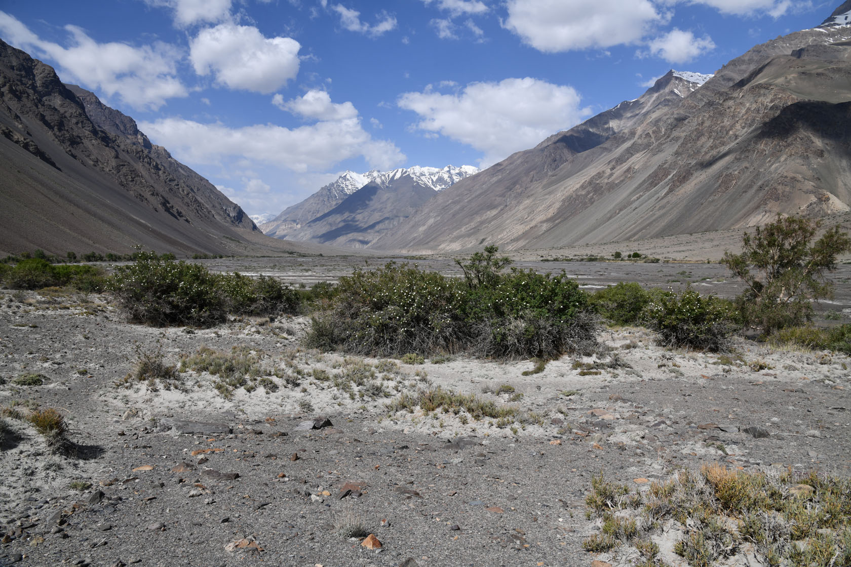 Танымас, image of landscape/habitat.