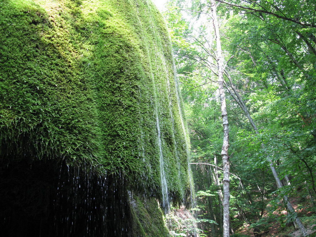 Большой каньон Крыма, image of landscape/habitat.