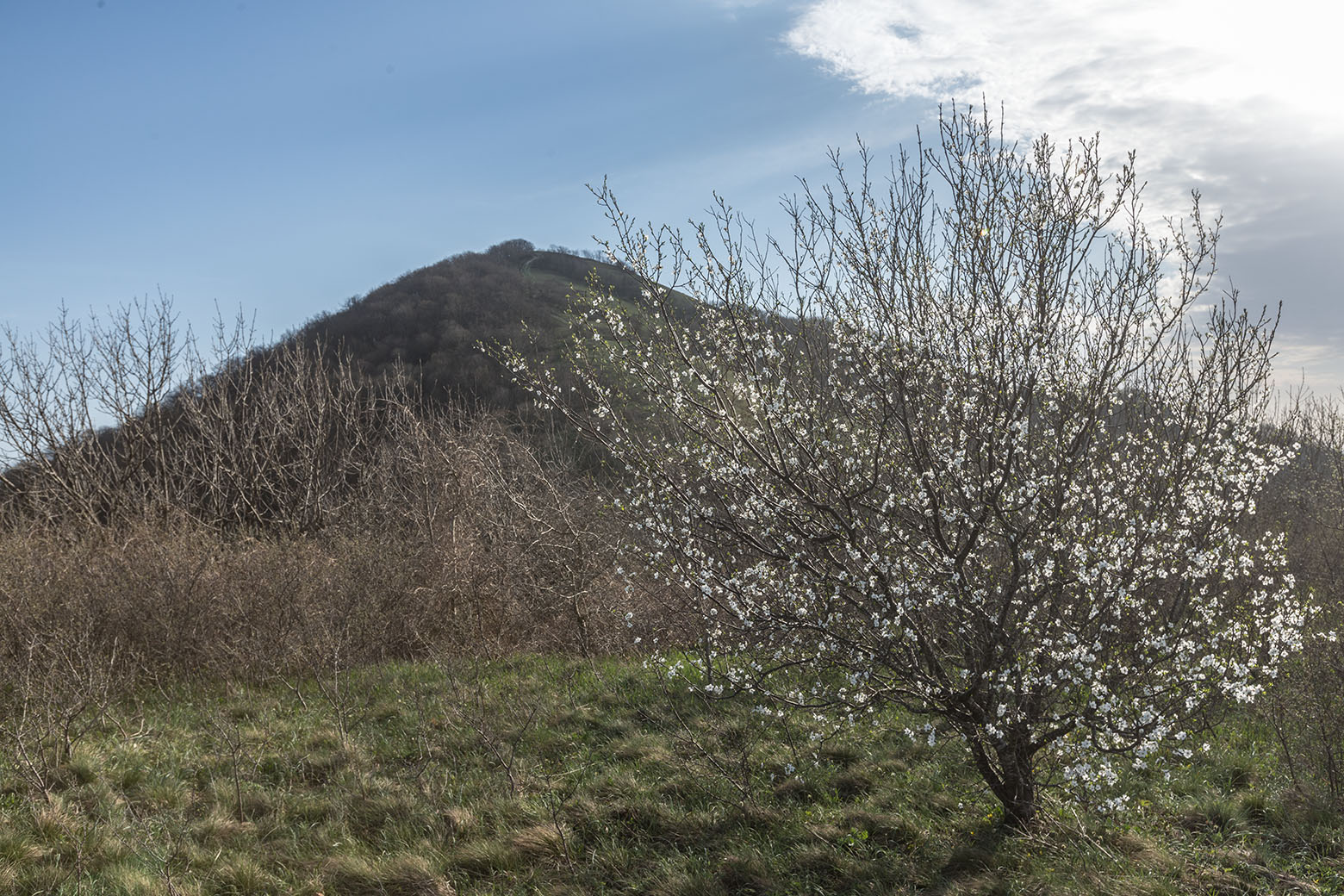 Свинцовая, image of landscape/habitat.