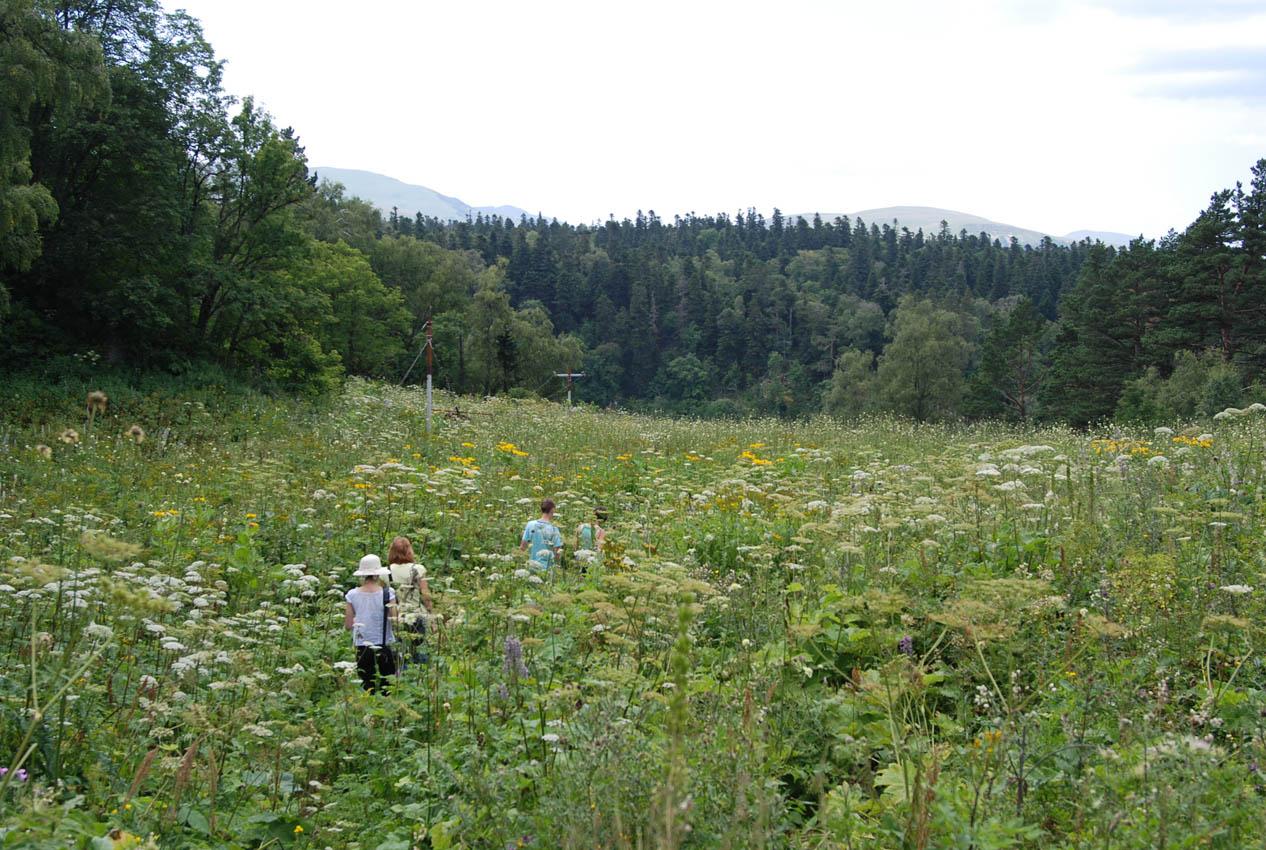 Плато Лагонаки, image of landscape/habitat.