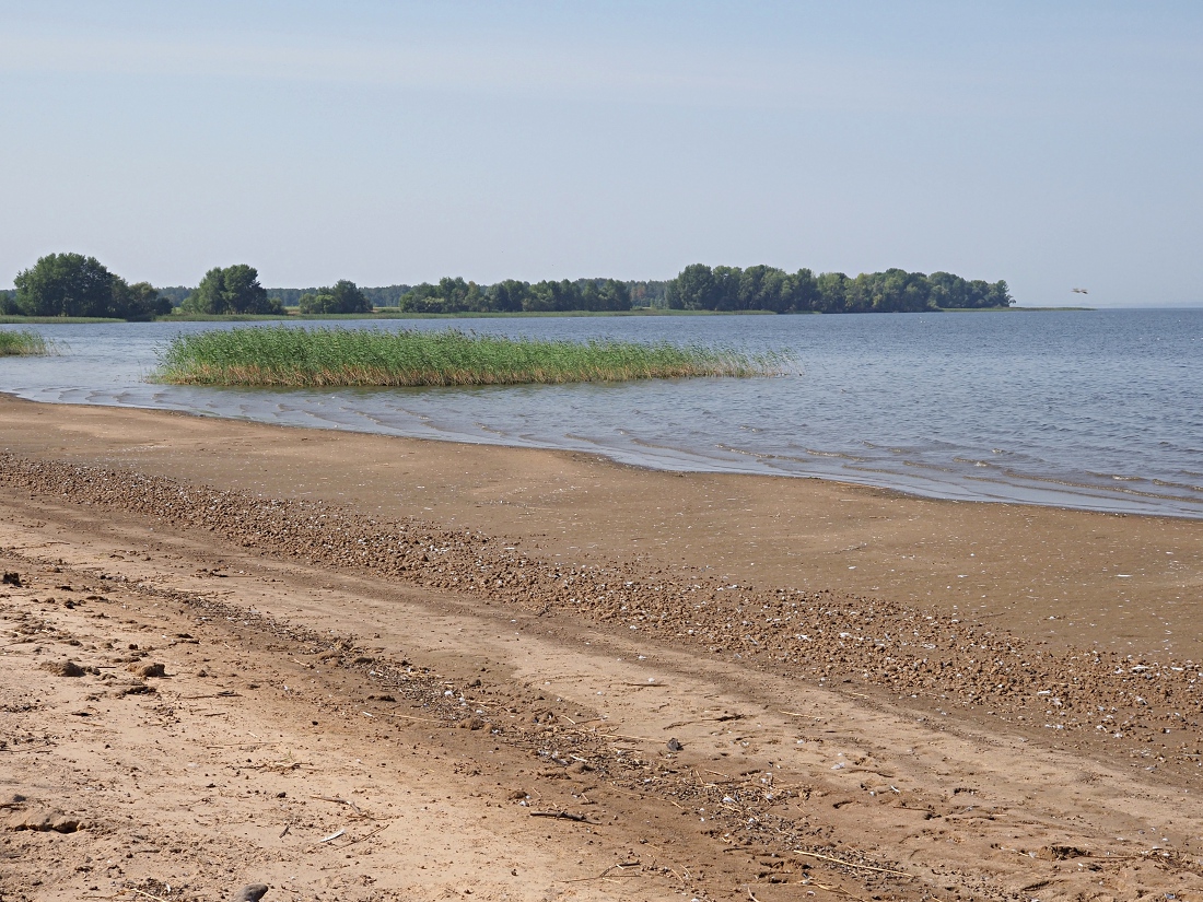 Окрестности Куликовки, image of landscape/habitat.