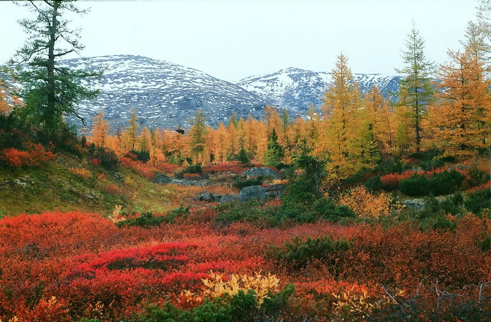 Алькесвож, image of landscape/habitat.