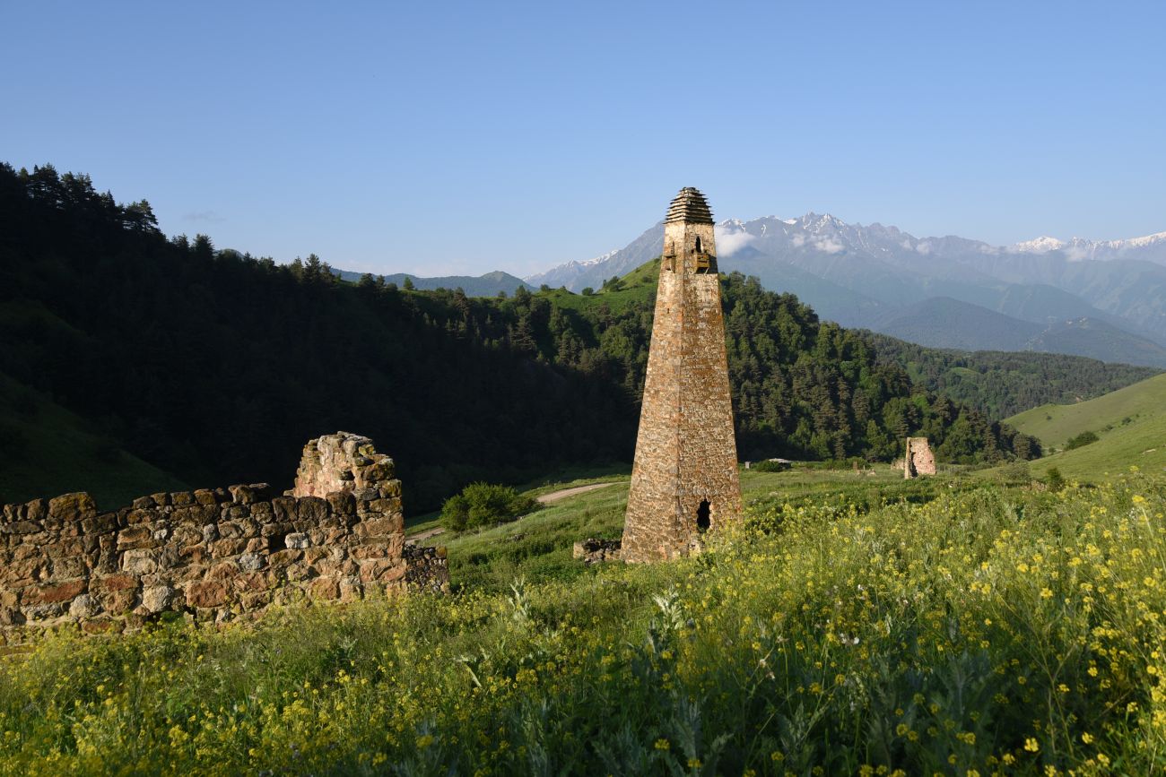 Окрестности урочища Ний, image of landscape/habitat.