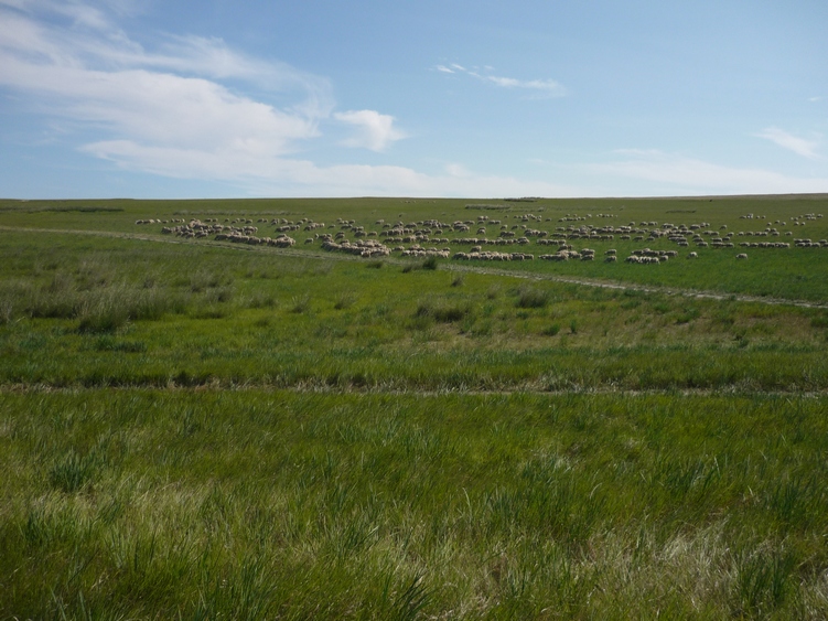 Озеро Ножий, image of landscape/habitat.