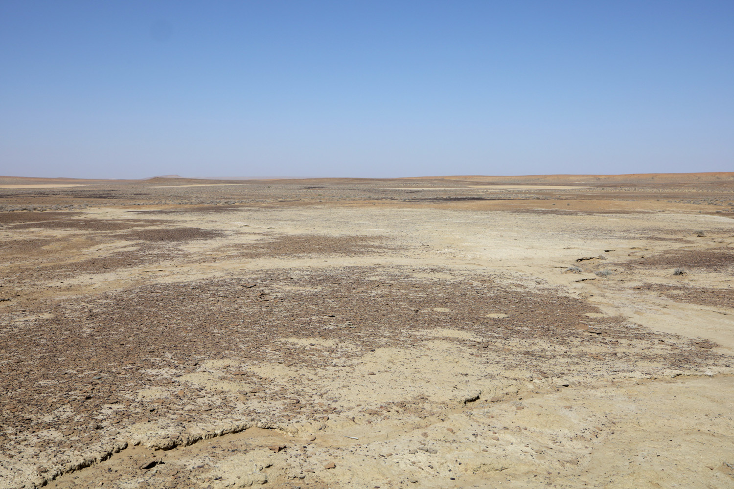 Окрестности посёлка Джангельды, image of landscape/habitat.