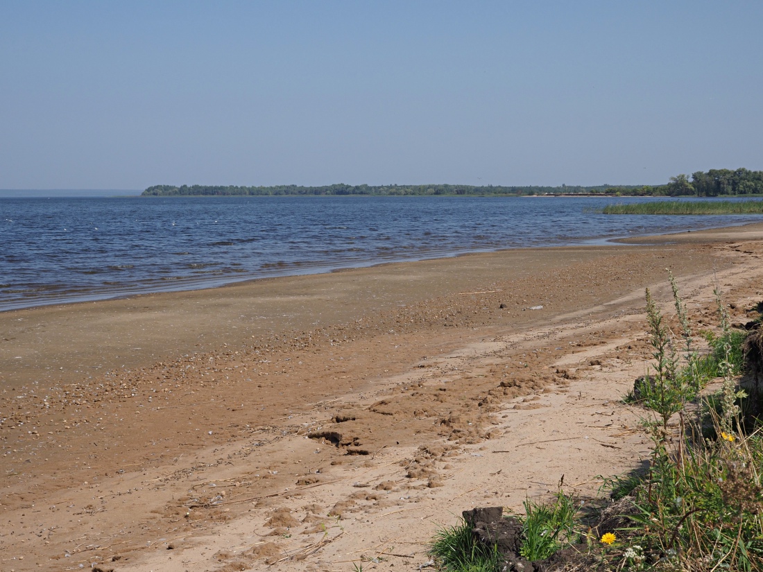 Окрестности Куликовки, image of landscape/habitat.