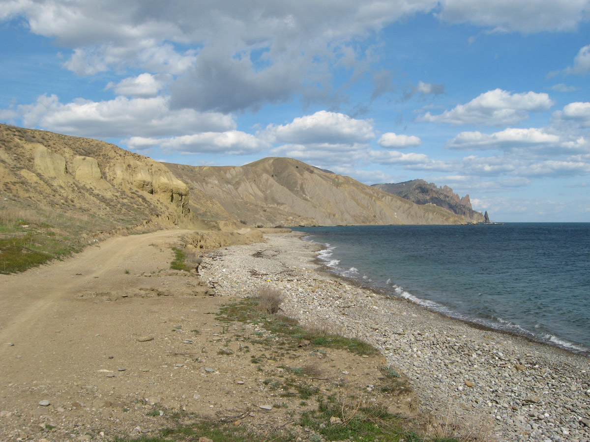 Лисья бухта, image of landscape/habitat.