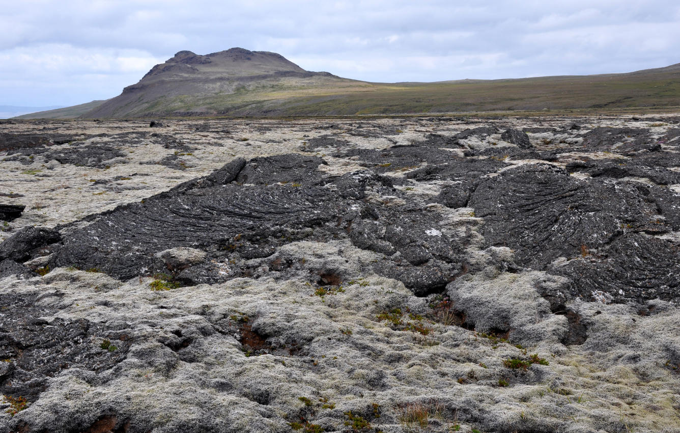 Лавовое поле Хальмундархраун, image of landscape/habitat.