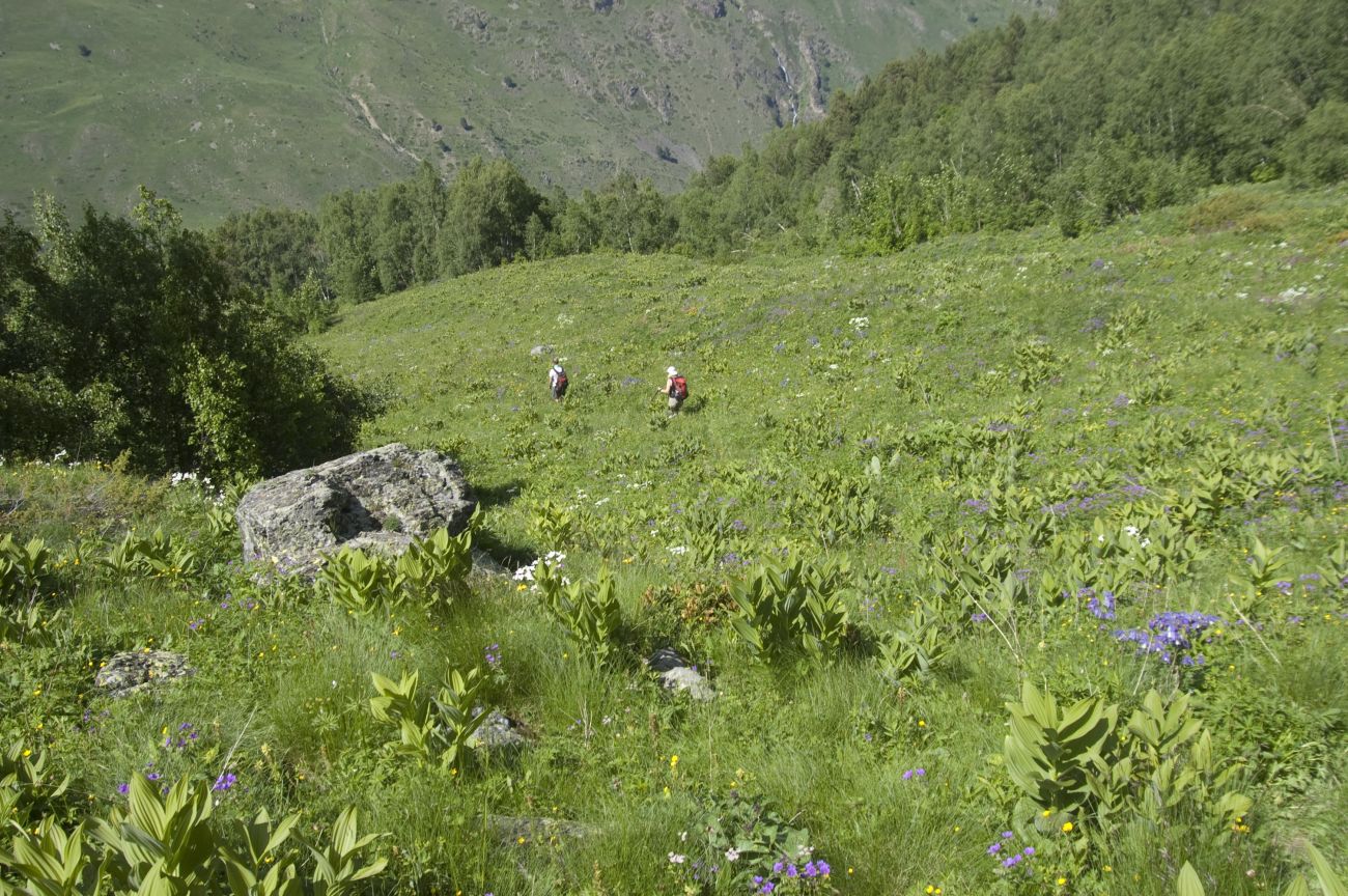 Ручей Когутайка, image of landscape/habitat.