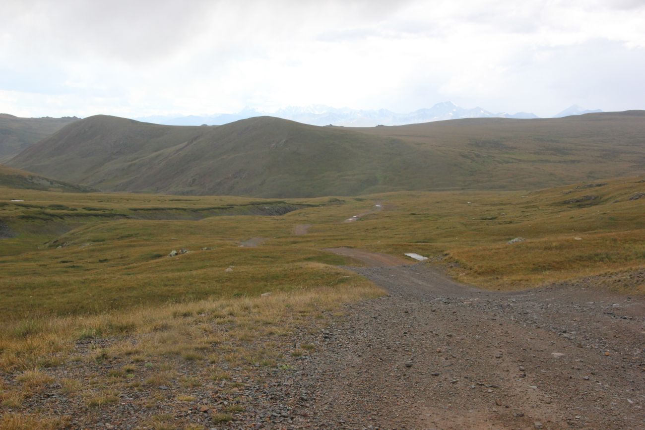 Окрестности истока реки Усай, image of landscape/habitat.