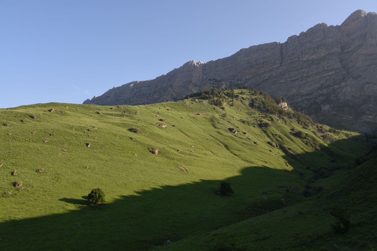 Окрестности урочища Ний, image of landscape/habitat.