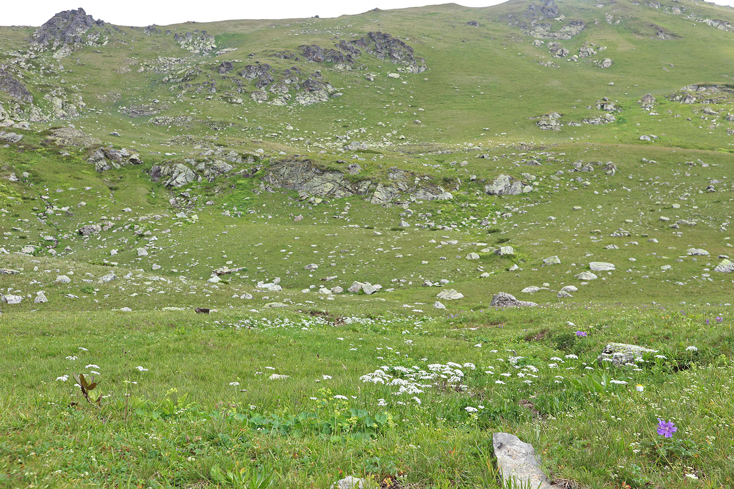 Ацгарские озёра, image of landscape/habitat.