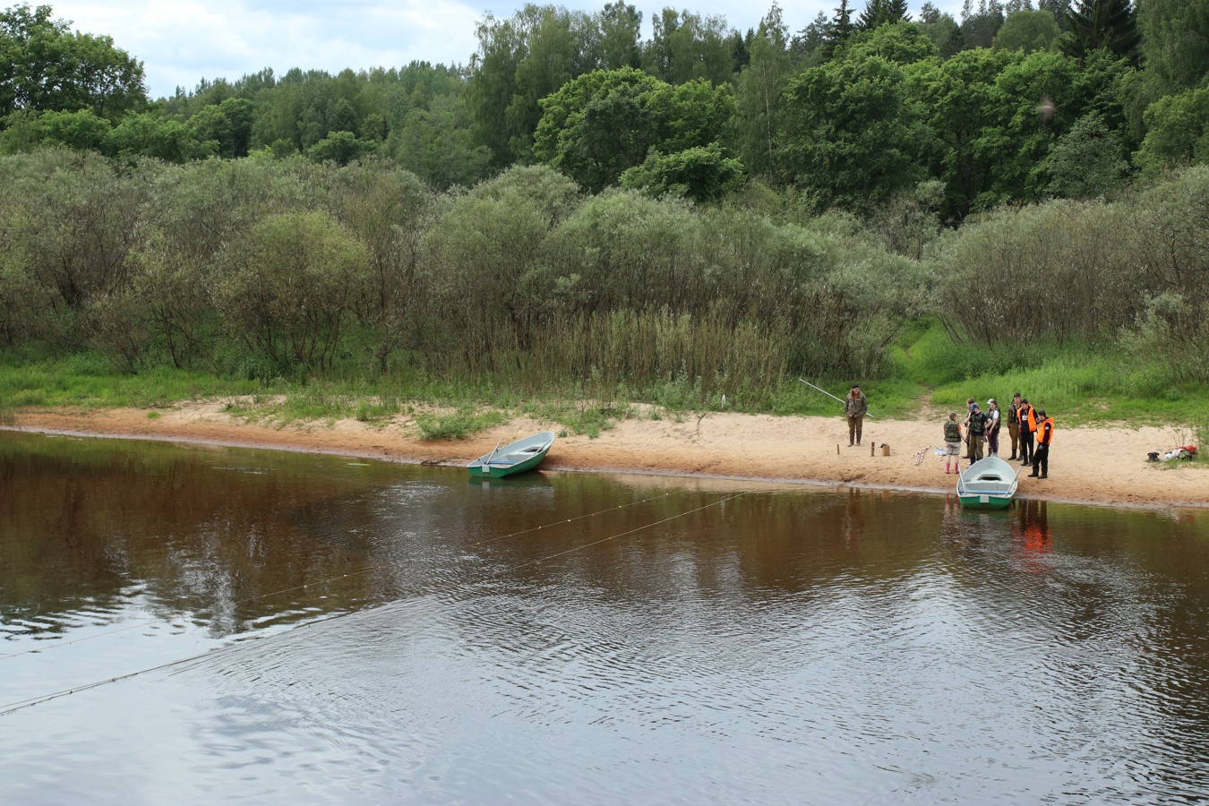 Луга у Кемки, image of landscape/habitat.