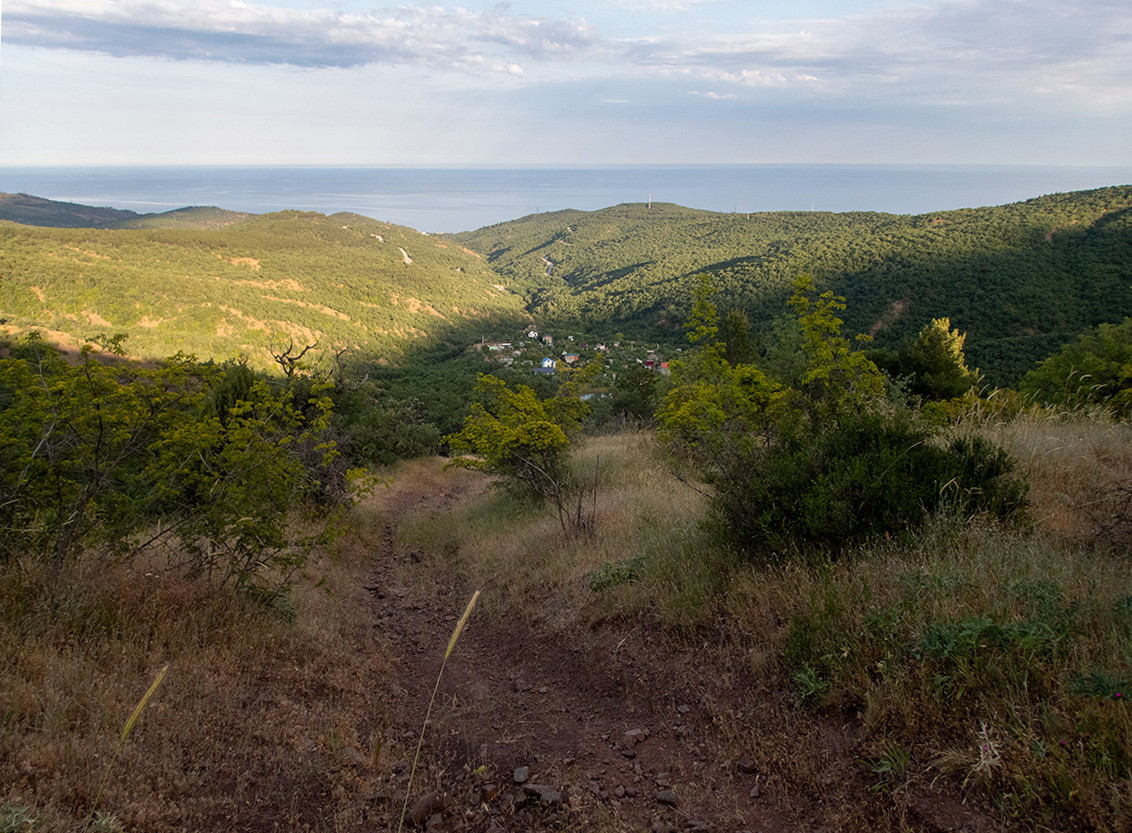 Долина реки Сотера, image of landscape/habitat.