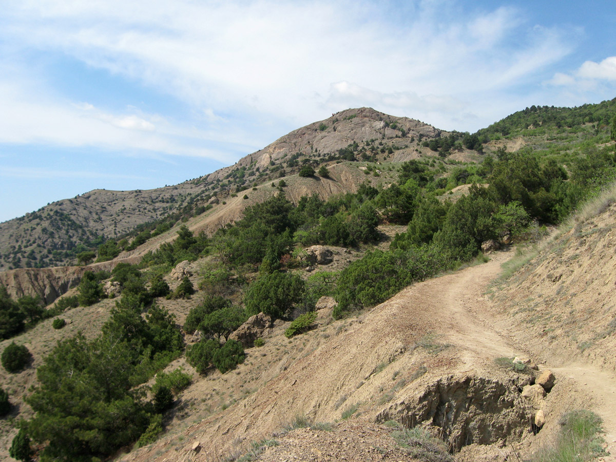 Балаклавские высоты, image of landscape/habitat.