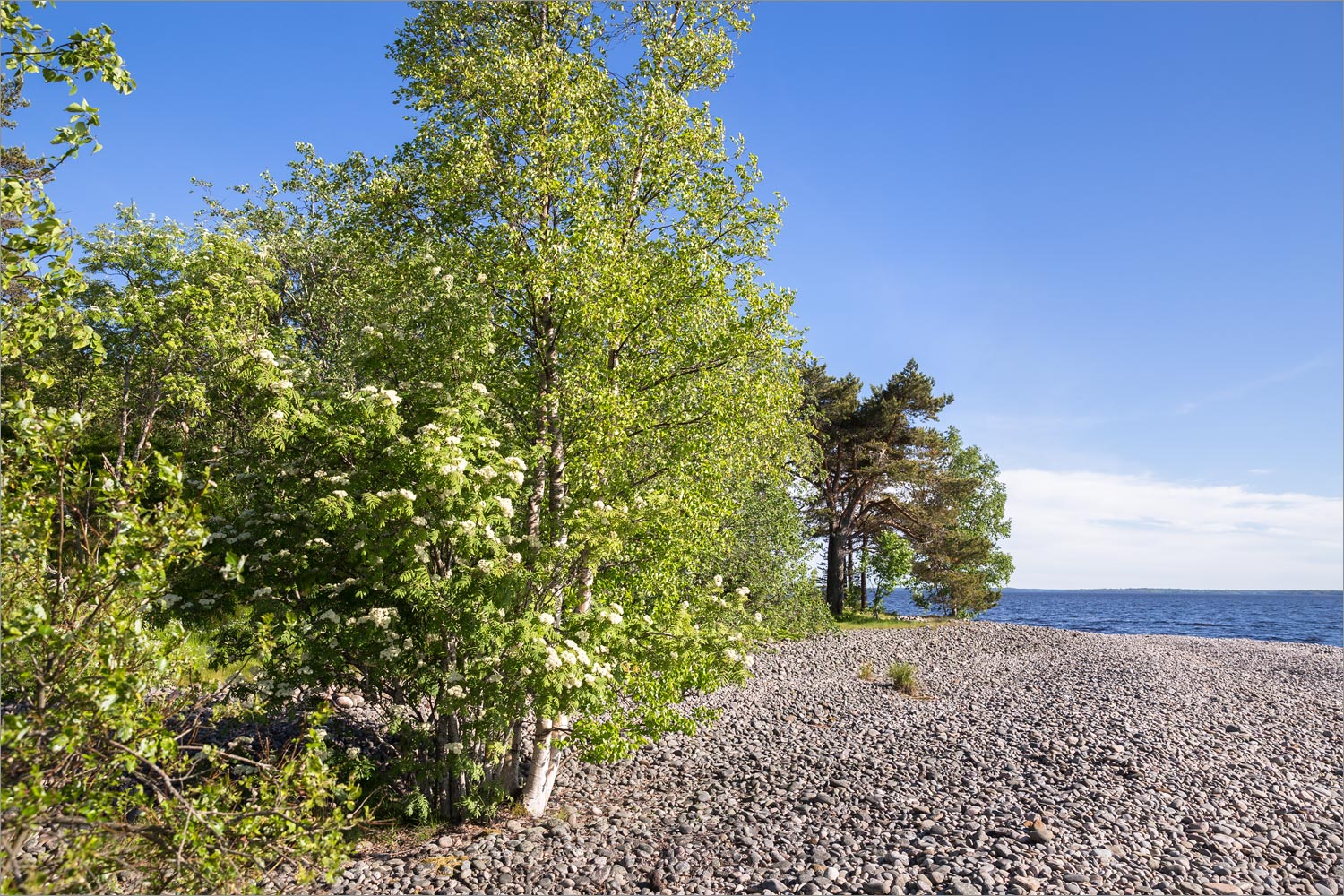 Ладожские шхеры, image of landscape/habitat.