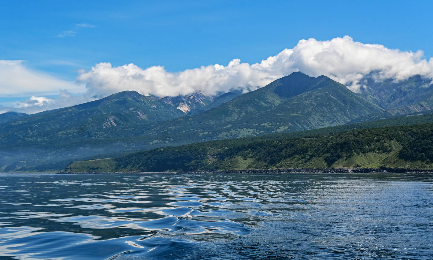 Окрестности мыса Одесский, image of landscape/habitat.