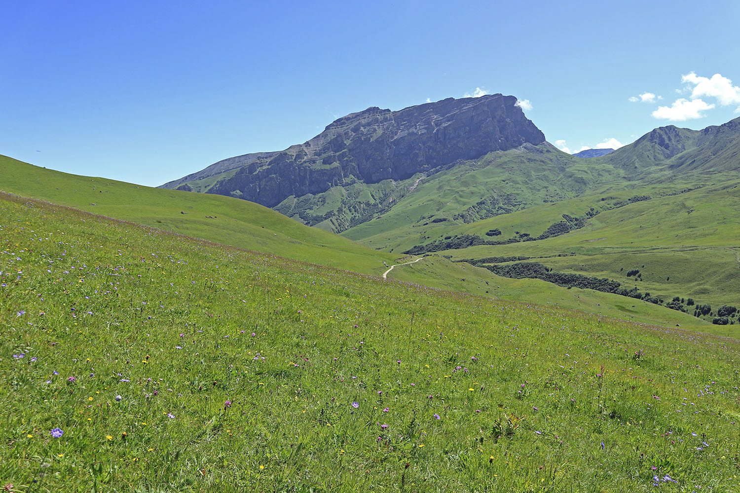 Айдарука-Цырт, image of landscape/habitat.