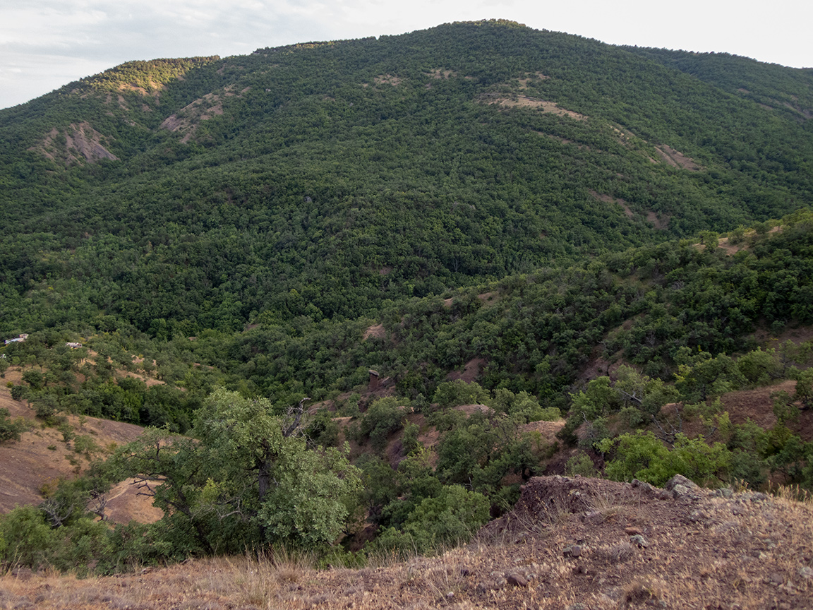 Долина реки Сотера, image of landscape/habitat.