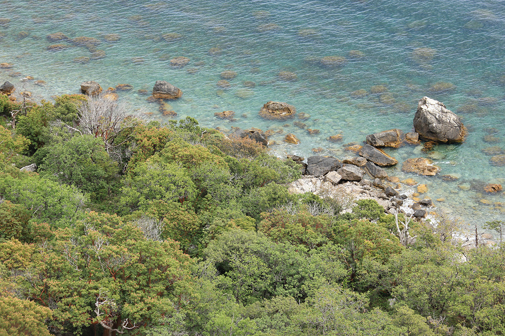 Мыс Мартьян, image of landscape/habitat.