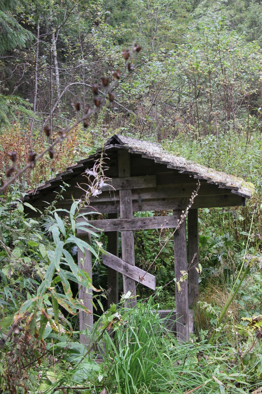 Урочище Княжая Пустынь, image of landscape/habitat.