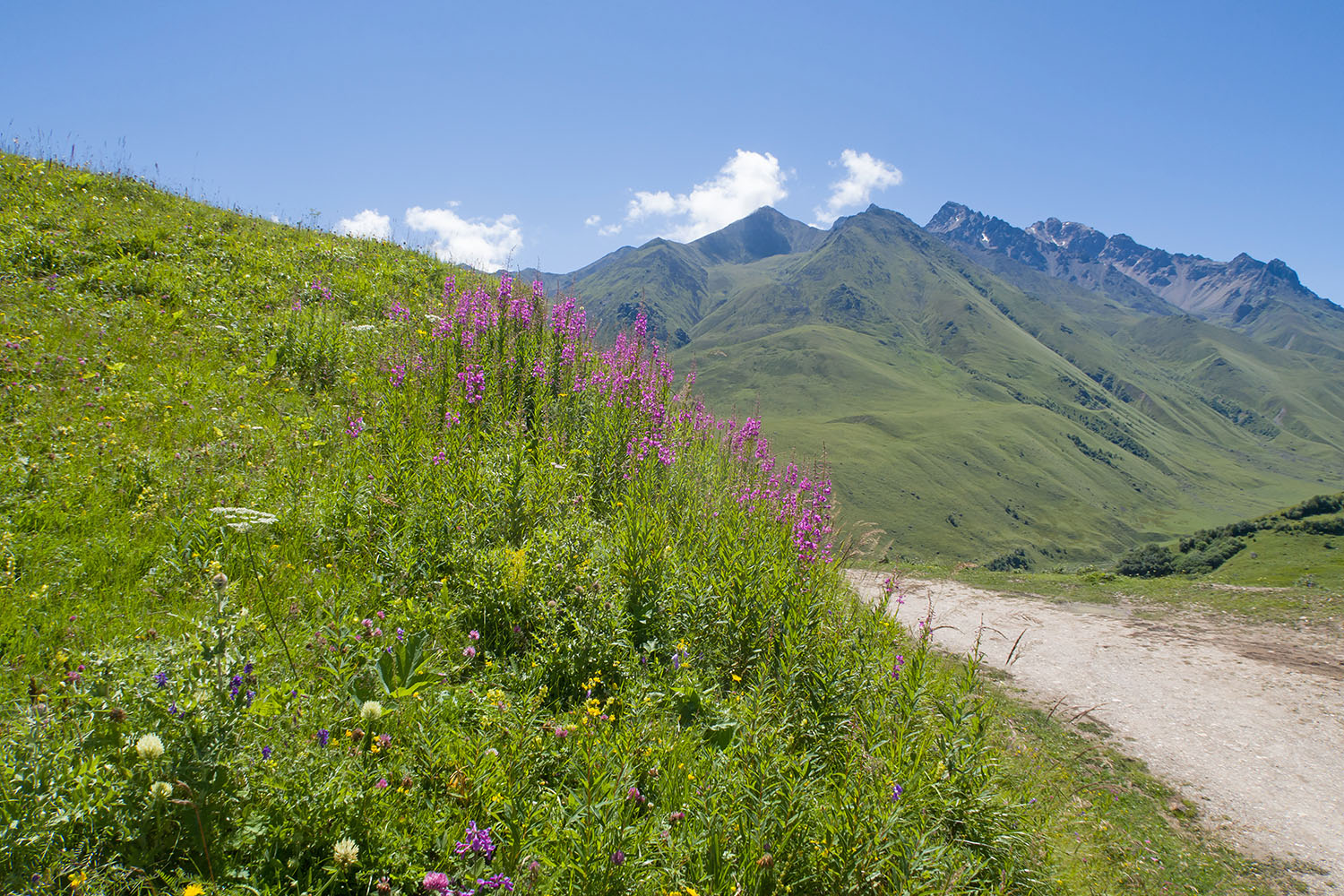 Перевал Северный Курноят, image of landscape/habitat.