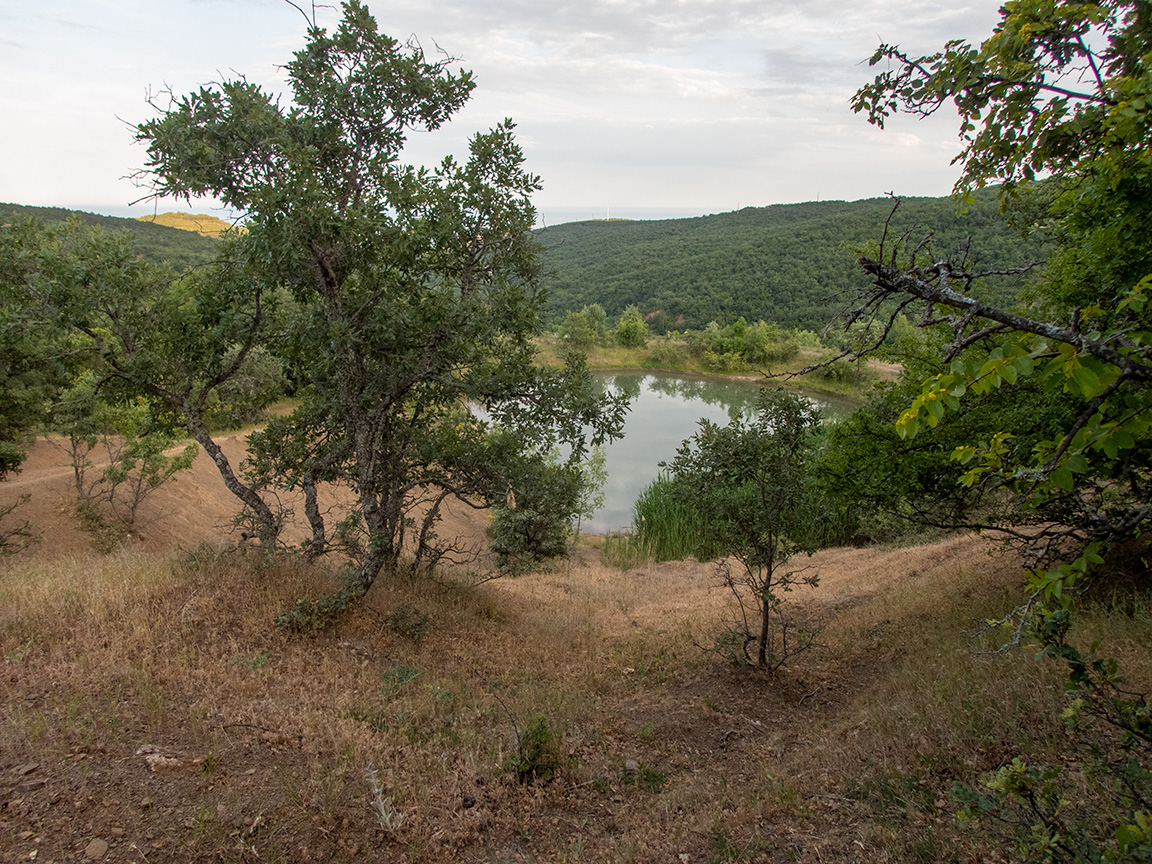 Долина реки Сотера, image of landscape/habitat.