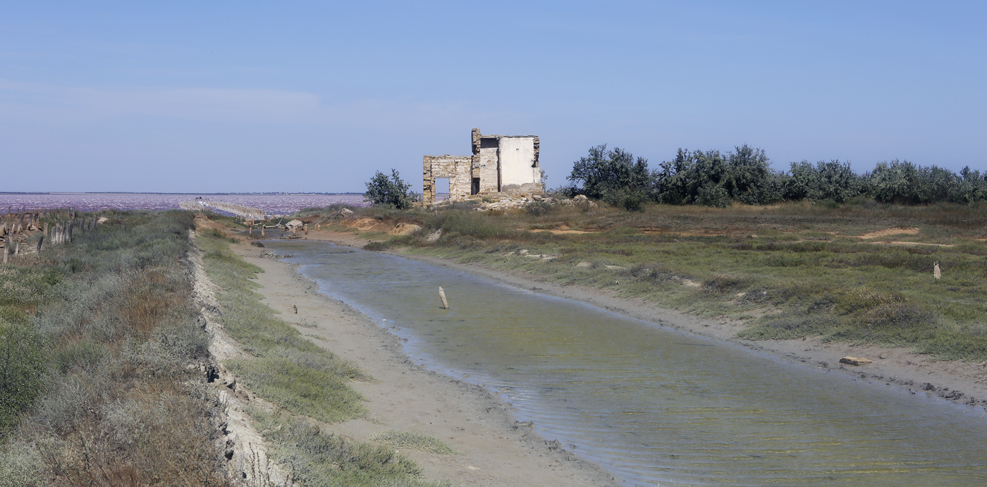 Окрестности озера Сасык, image of landscape/habitat.