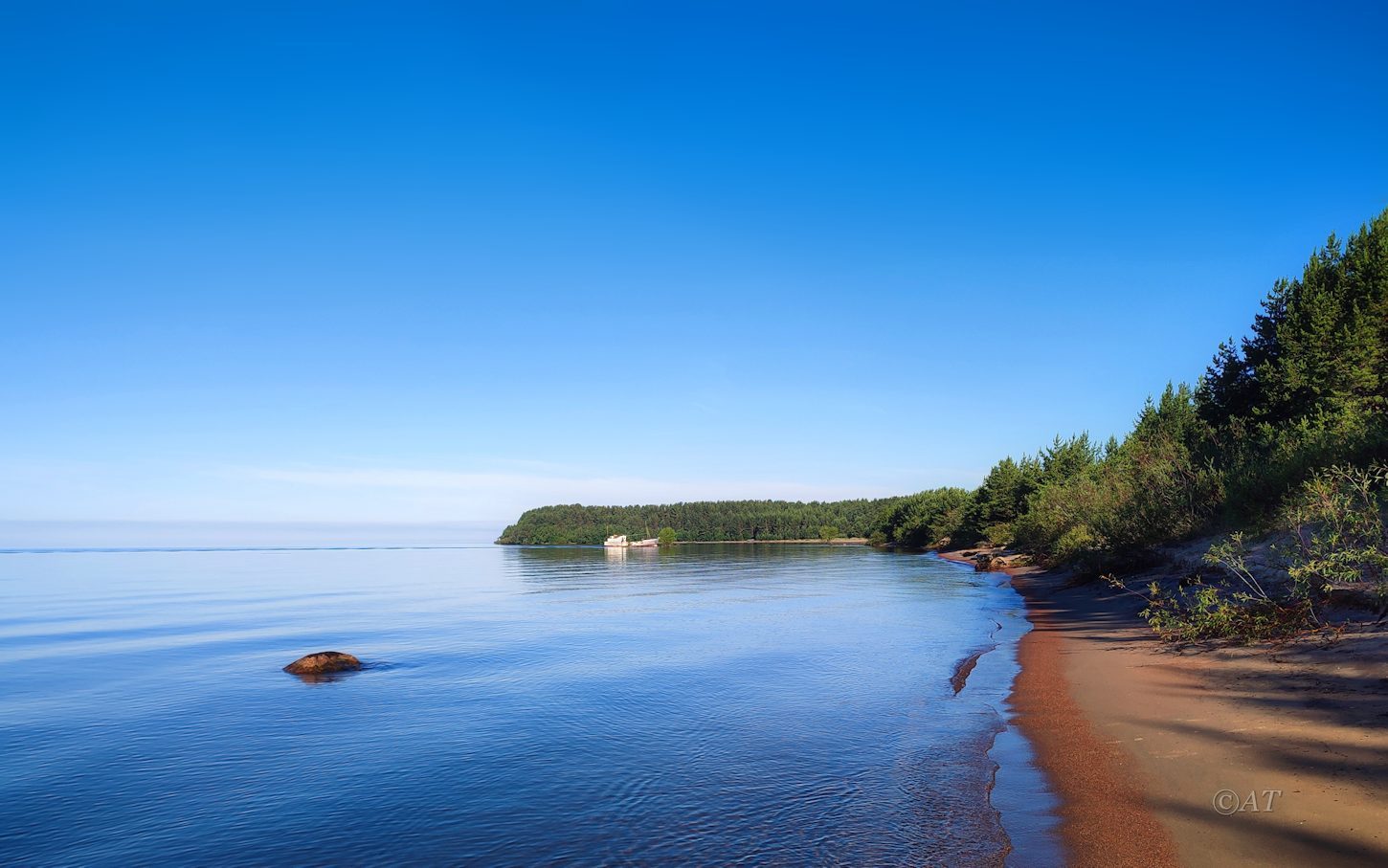 Устье Видлицы, image of landscape/habitat.