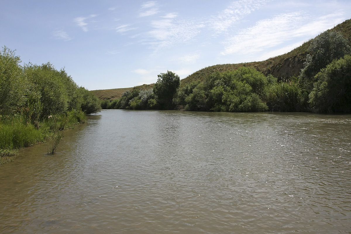 Нижний Боролдай, image of landscape/habitat.