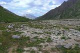 Image of landscape
