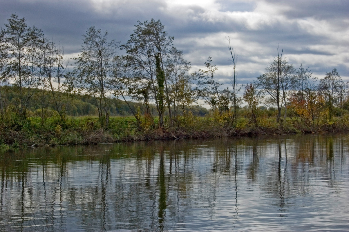 Окрестности деревни Рыжково, image of landscape/habitat.