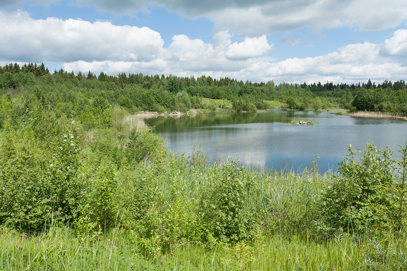 Елизаветинский карьер, image of landscape/habitat.