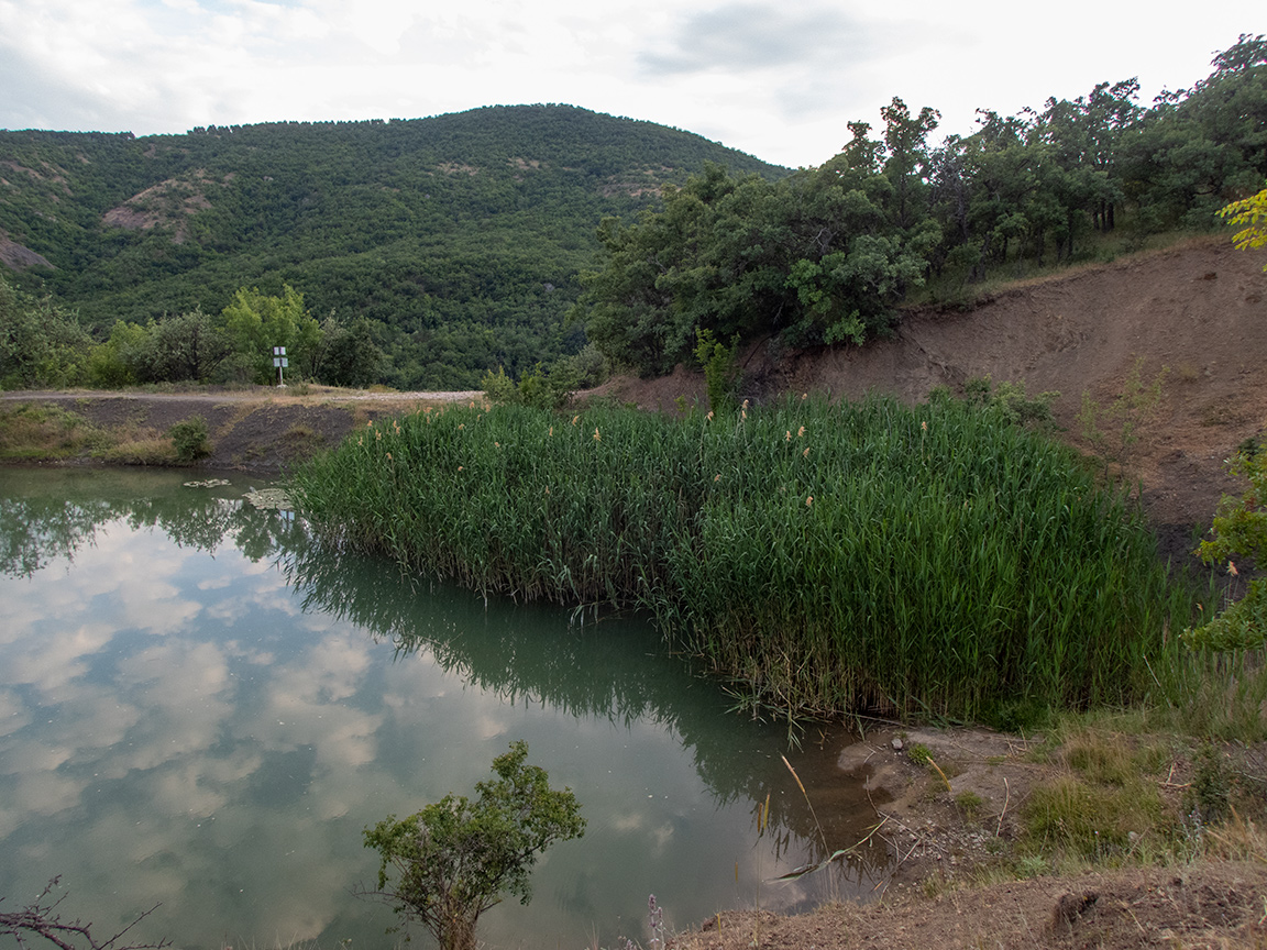 Долина реки Сотера, image of landscape/habitat.