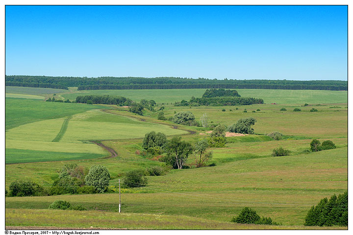 Нижнее Чекурское, image of landscape/habitat.