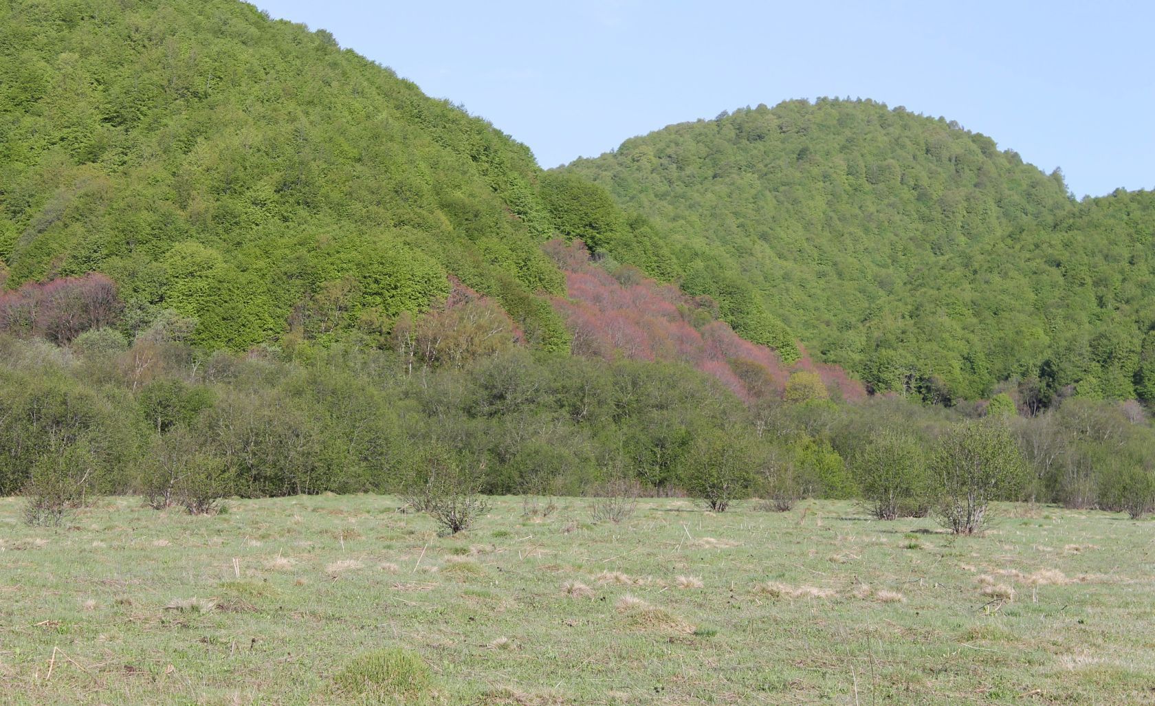 Озеро Эрцо, image of landscape/habitat.