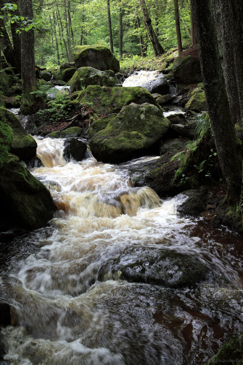 Vyšší Brod a Opatská stezka, image of landscape/habitat.