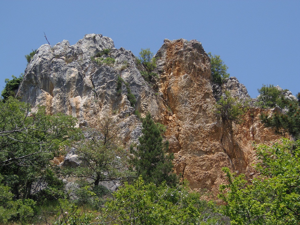 Никитская расселина, image of landscape/habitat.