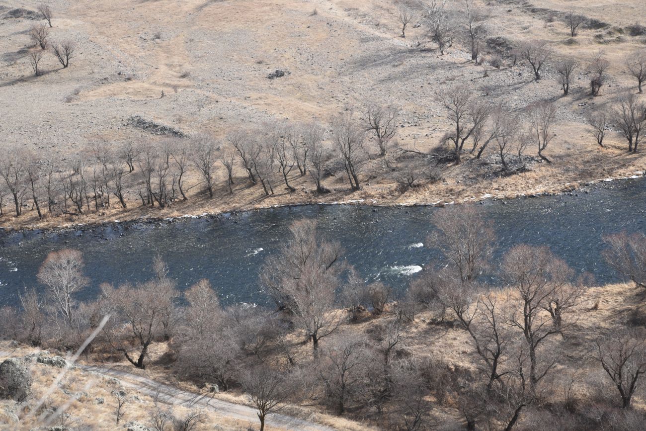 Пещерный монастырь Вардзиа, image of landscape/habitat.