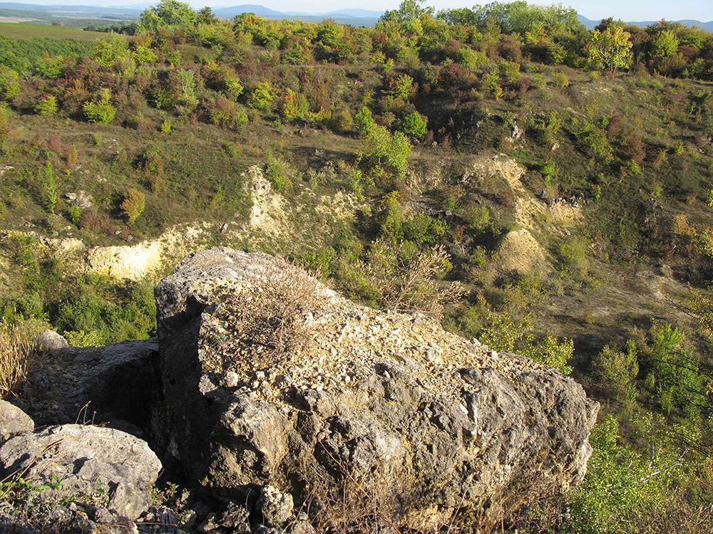 Окрестности Нижнебаканской, image of landscape/habitat.