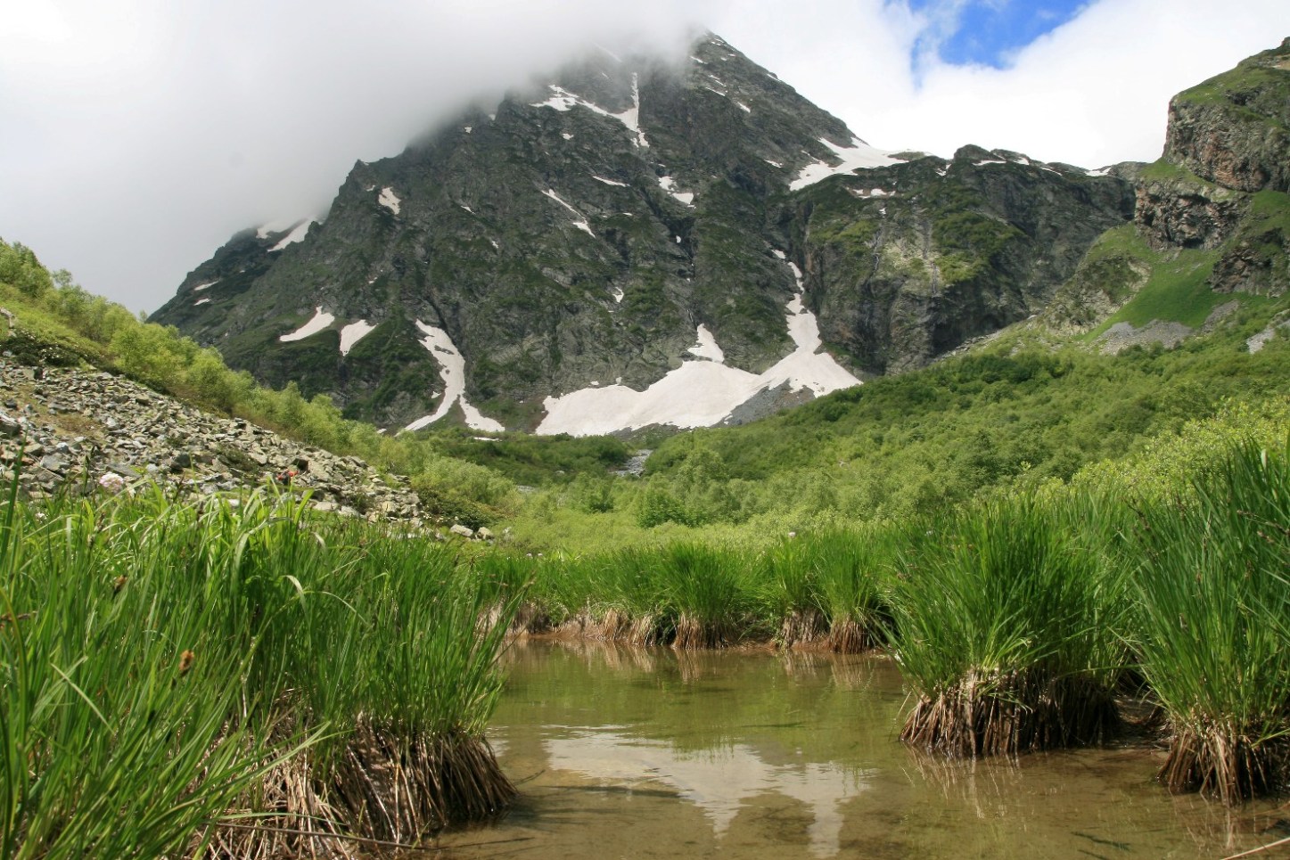 Архыз. Долина реки Псыш, изображение ландшафта.