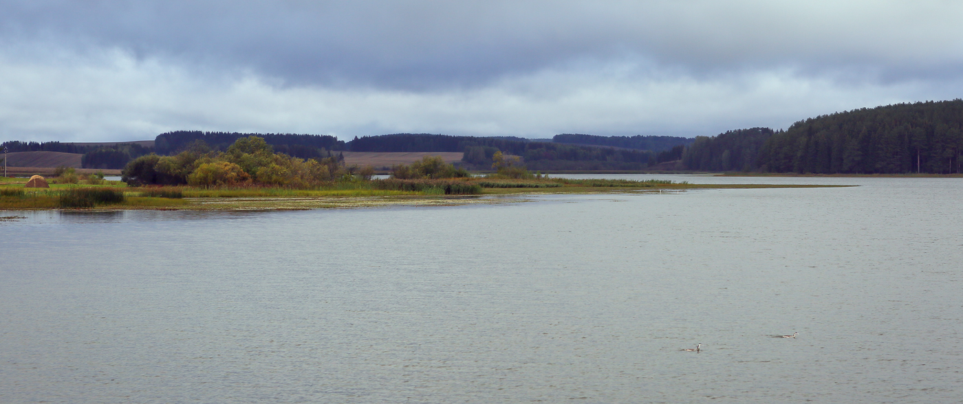 Григорьевское, image of landscape/habitat.