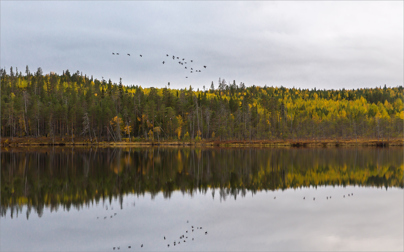 Пизанец, image of landscape/habitat.